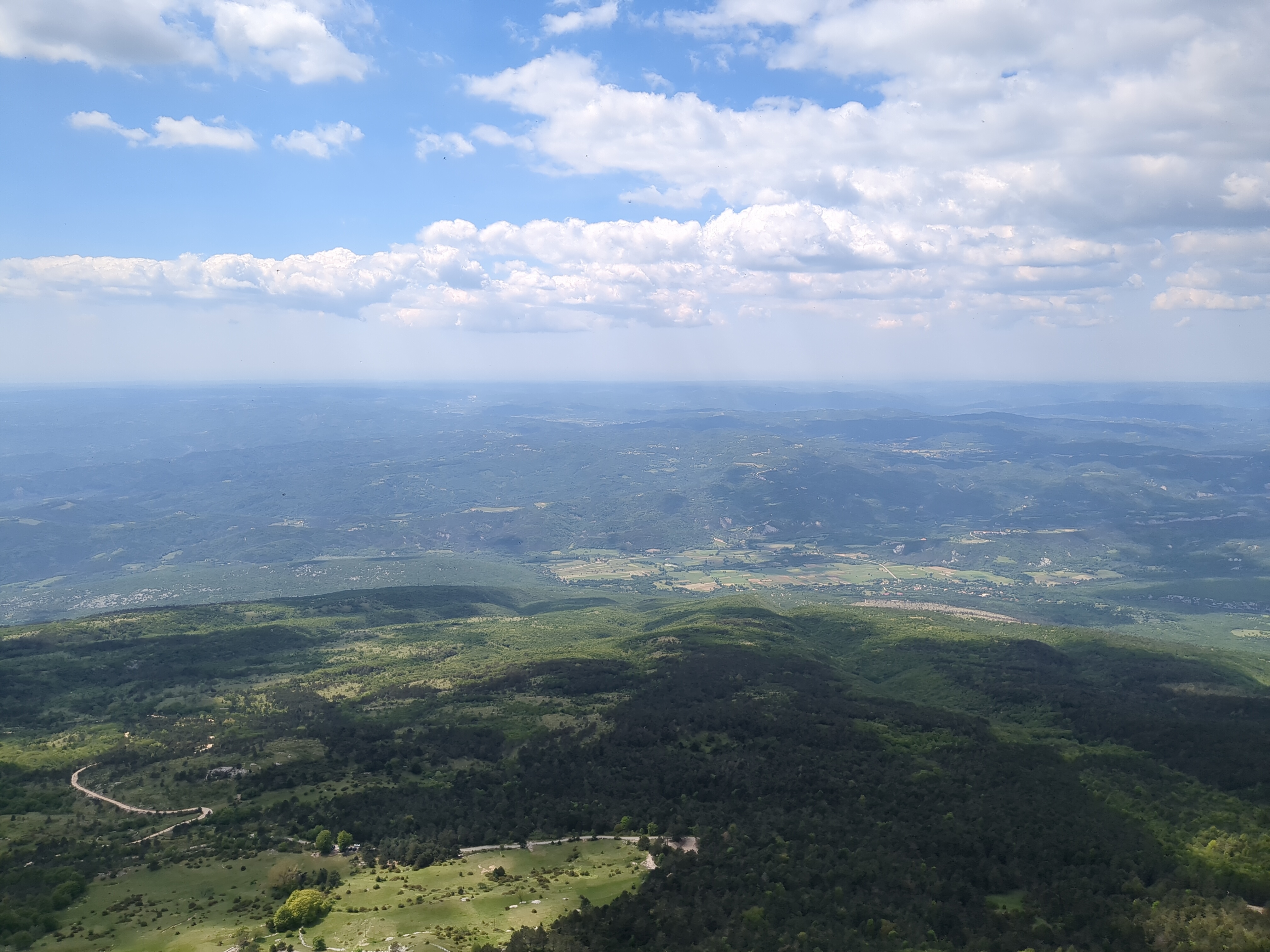 Dynamics of Living Systems